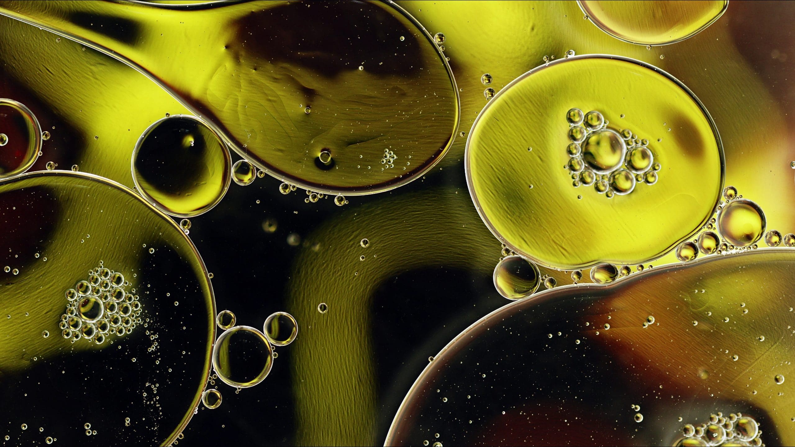 Abstract Colorful Food Oil Drops Bubbles And Spheres Flowing On Water Surface