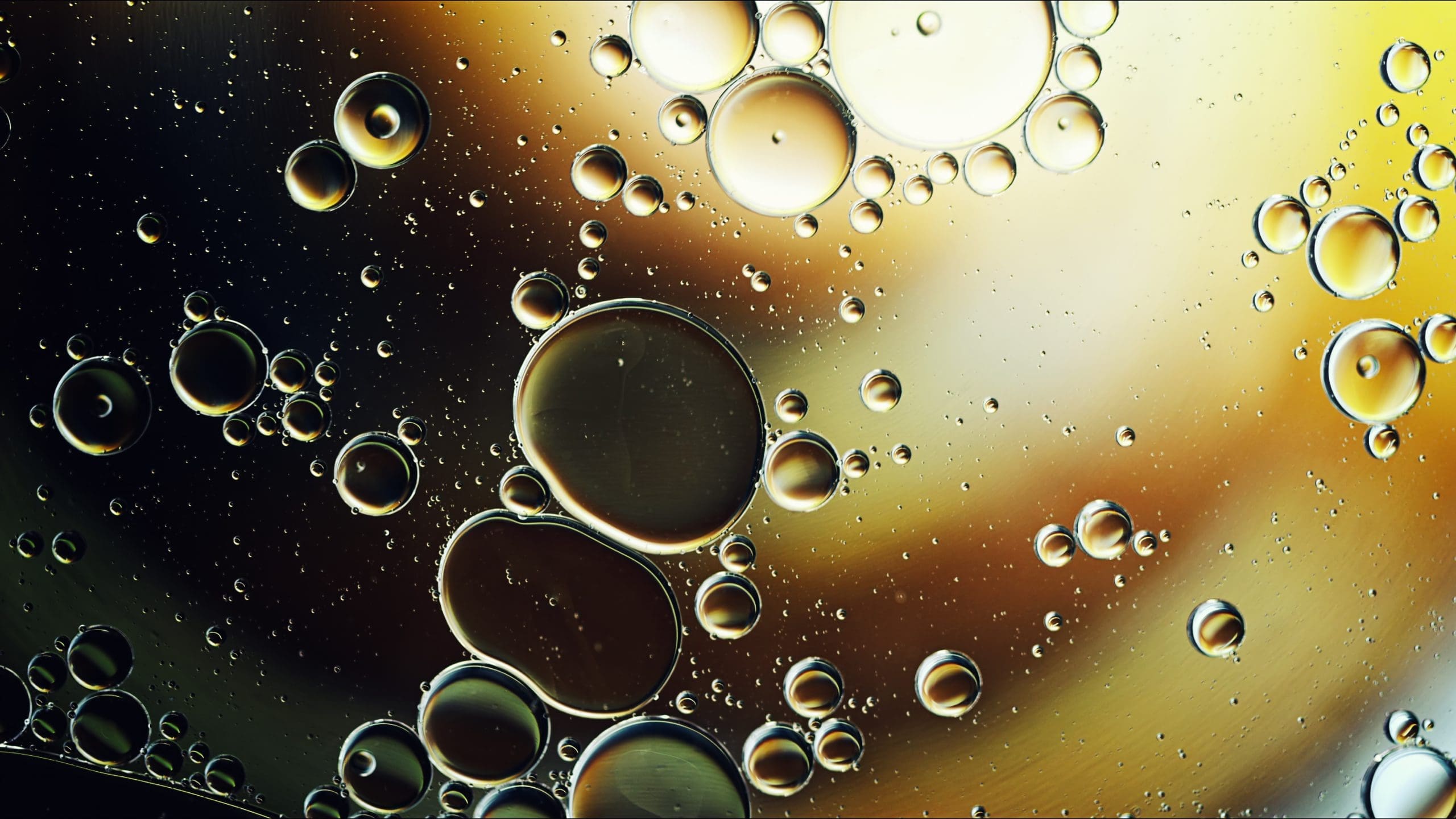 Abstract Colorful Food Oil Drops Bubbles And Spheres Flowing On Water Surface