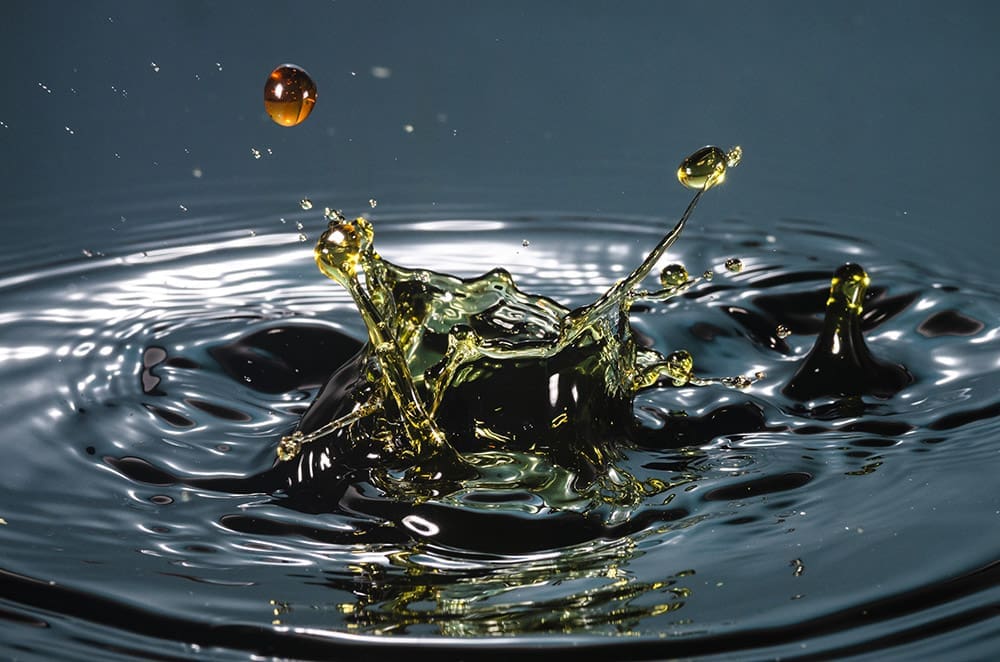 Beautiful Still Life With Water Copy