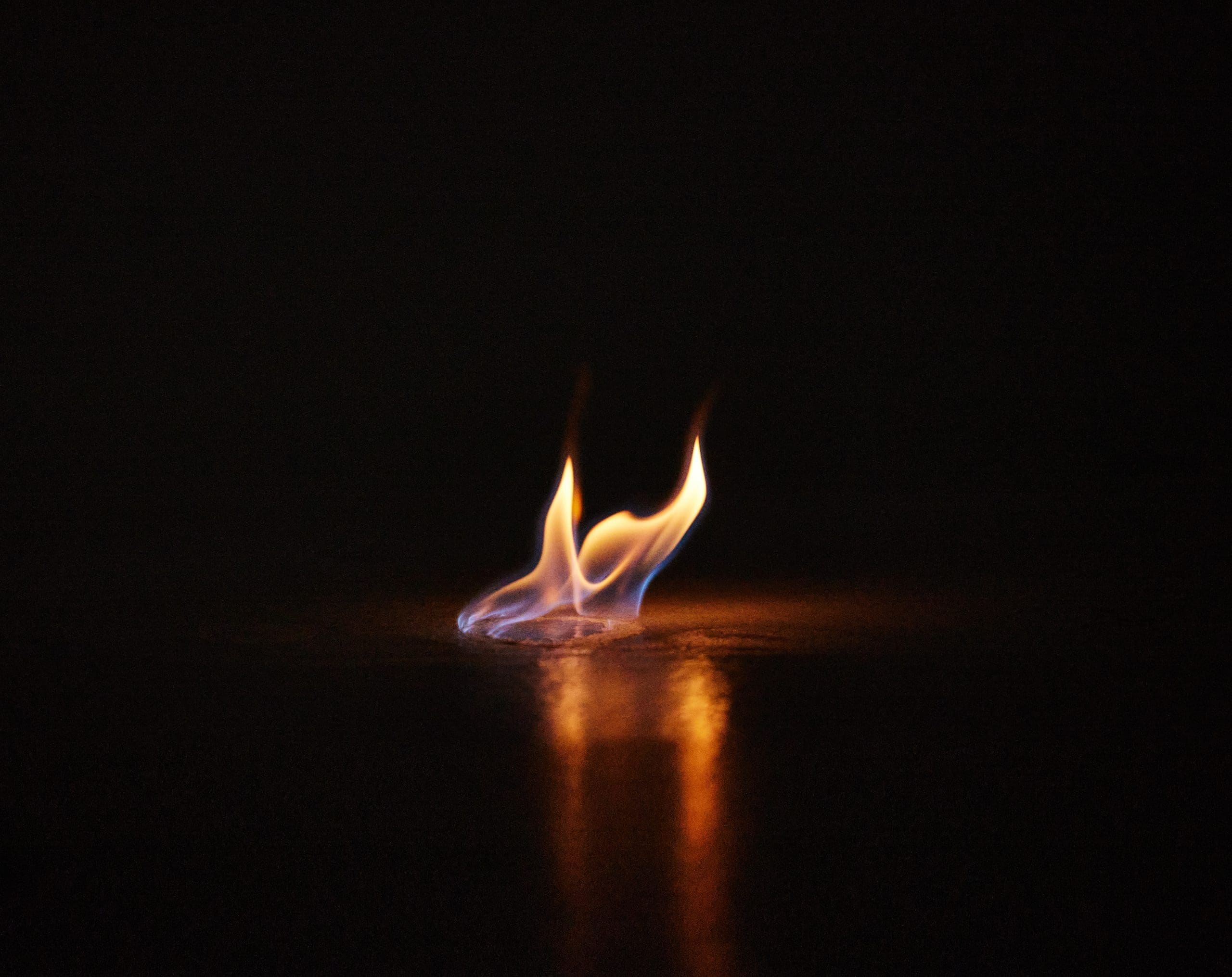 Beware Of Burning Passion Studio Shot Of A Small 2025 04 06 07 19 19 Utc