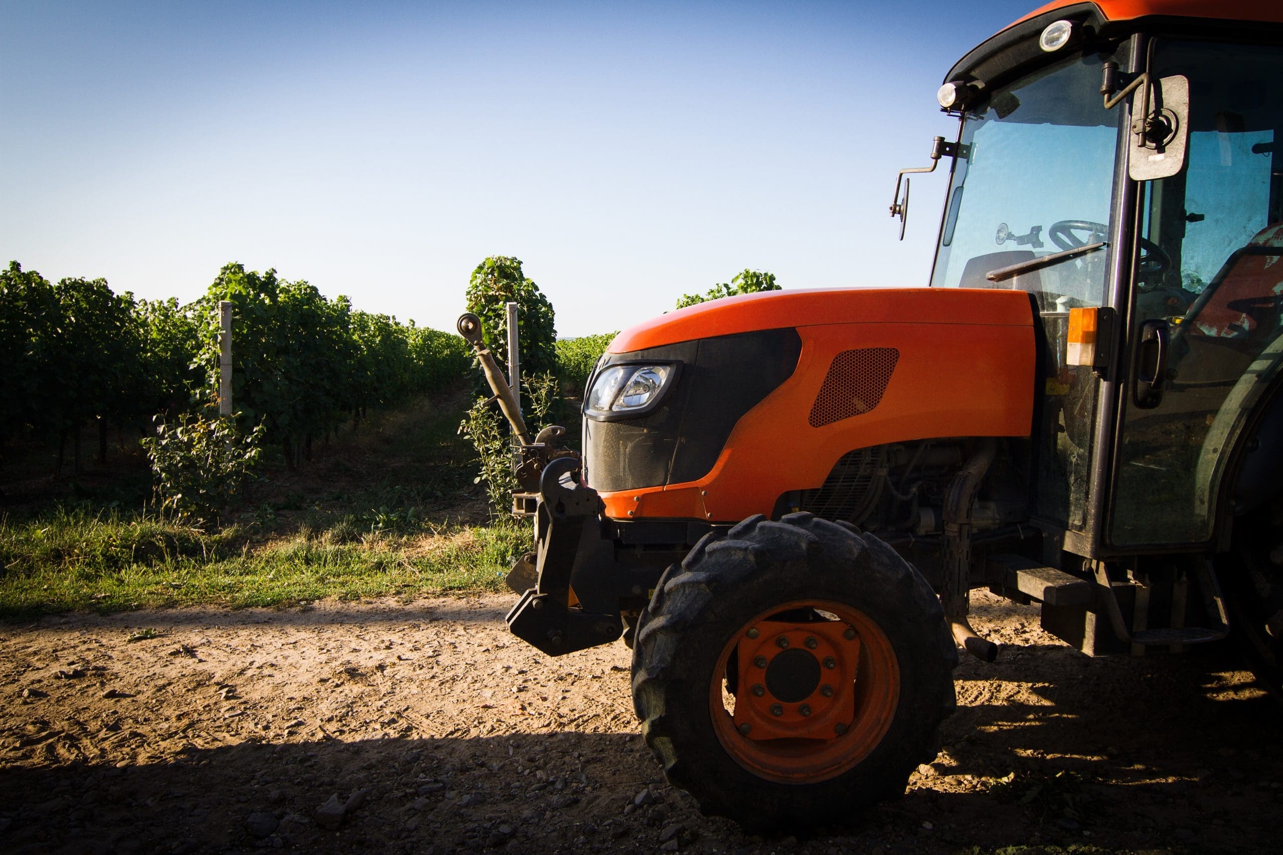Closeup Of Red Tractor In Front Of Vineyard Rows