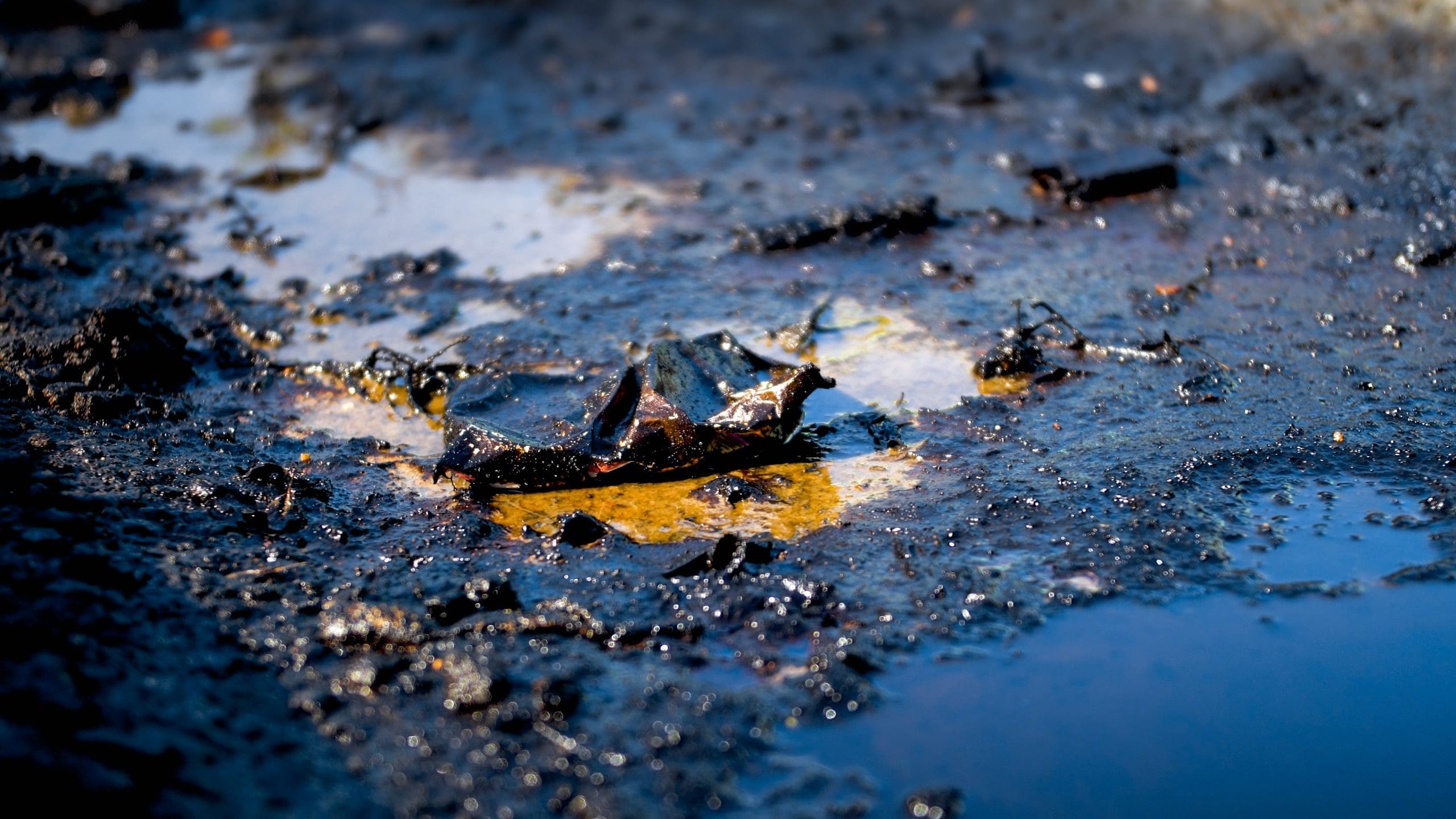 Closeup Photo Of Toxic Wastes, Oil And Plastic Polluting Ground. Concept Of Harm To Environment And Ecology Disaster