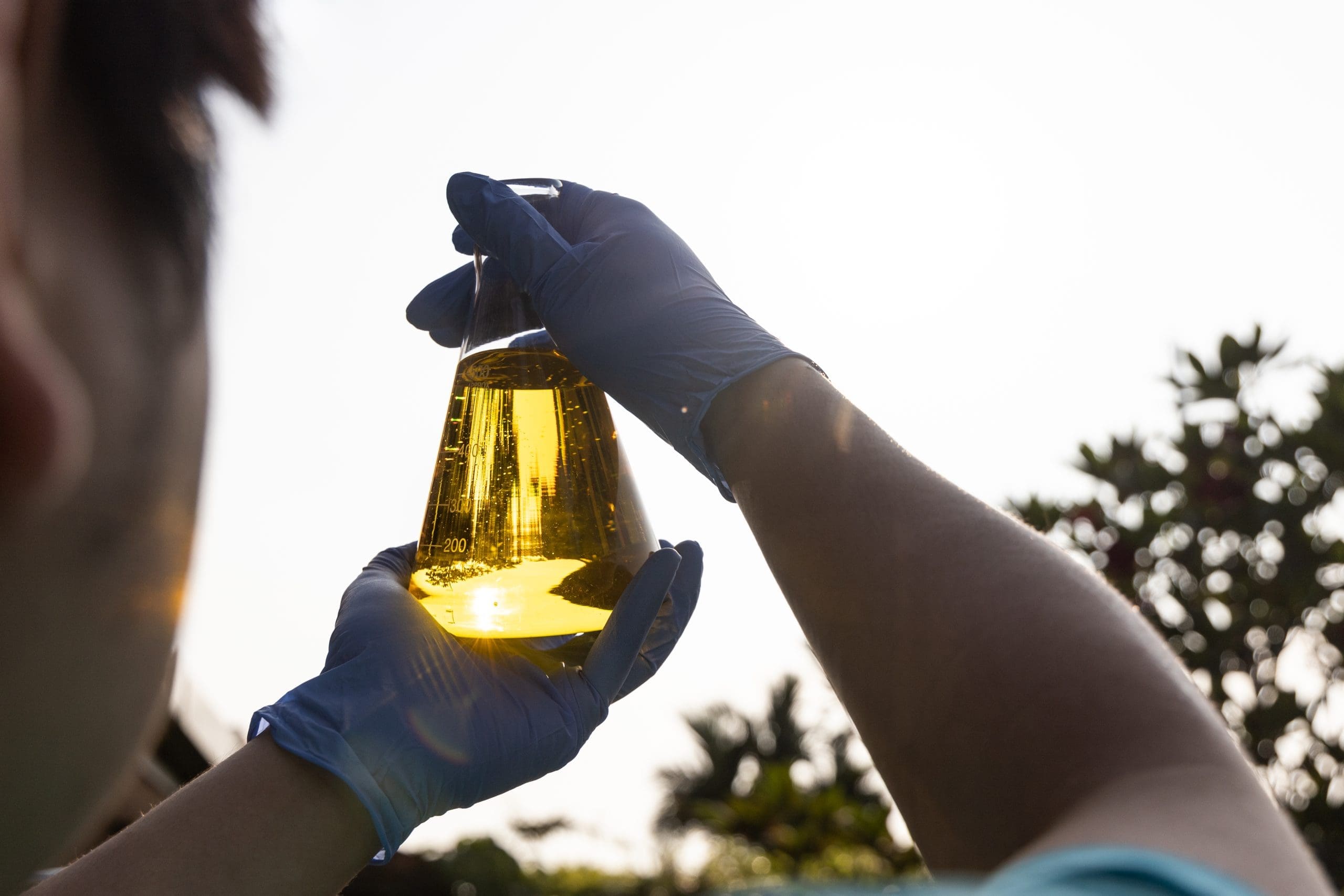 Ethanol Biofuel Derived From Corn Maze With Beaker Test Tubes In Laboratory