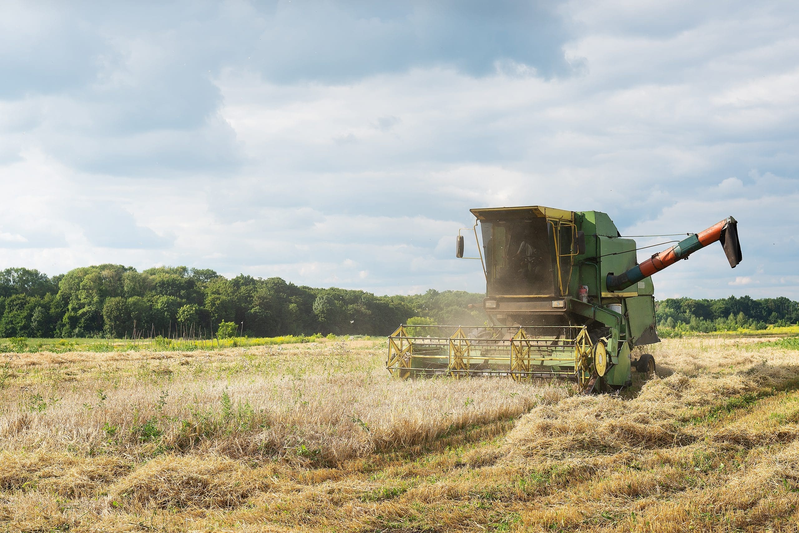 Harvest. Combine Harvester Harvesting Ripe Wheat. Agriculture. Grain Shortage Problems, Famine, War In 2022.