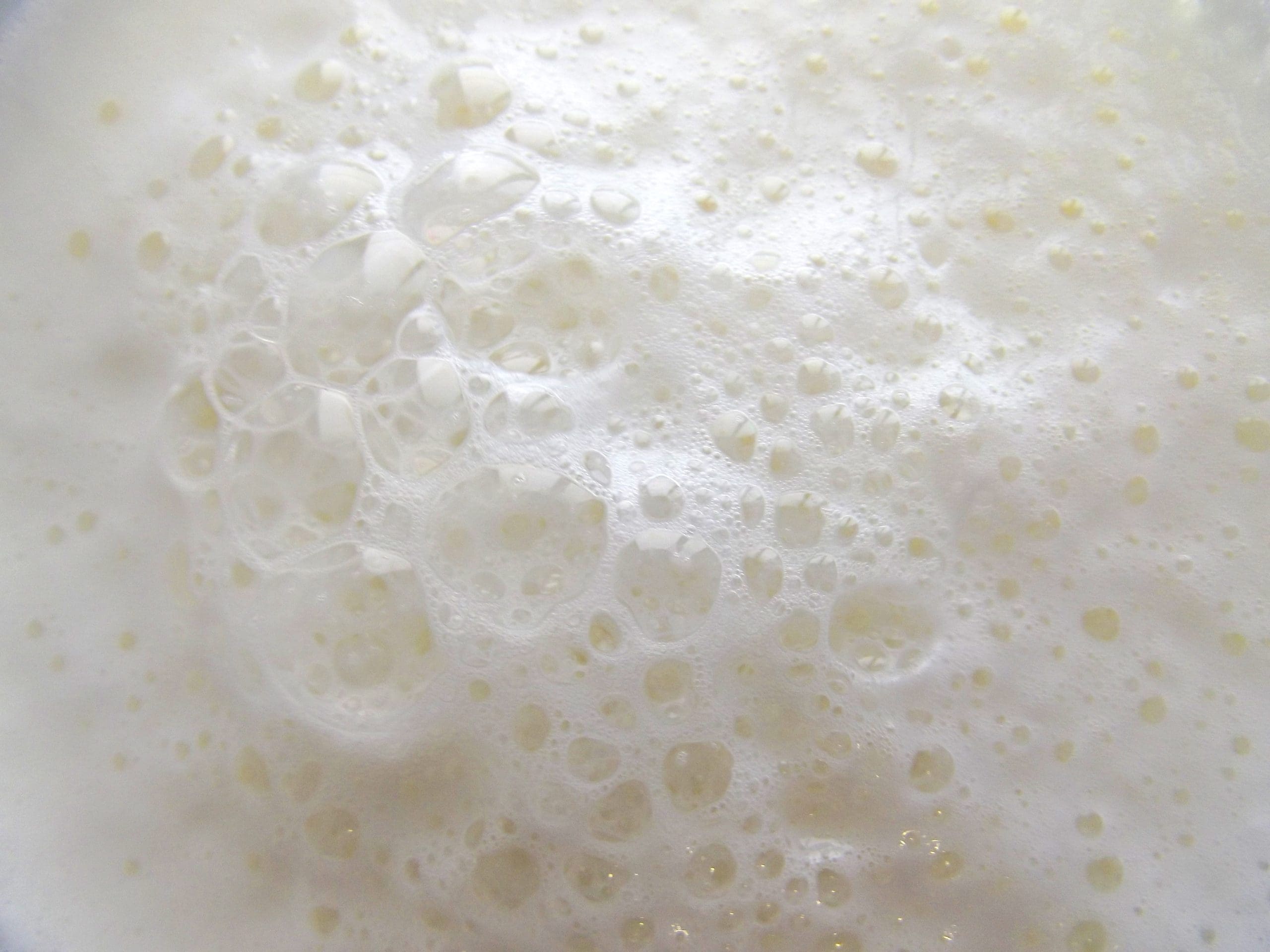 Milk Froth Bubbles 2025 01 08 17 41 51 Utc