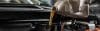 Partial View Of Mechanic Pouring Machine Oil At Car Engine, Panoramic Shot