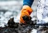 People Wear Orange Gloves Picking Garbage Up In To White Bag. Cl