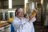 Technicians Examining Olive Oil In Factory